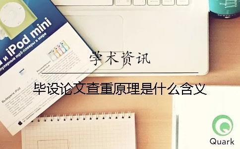 畢設論文查重原理是什么含義