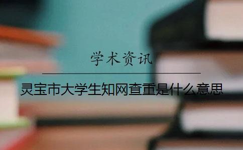 靈寶市大學生知網查重是什么意思